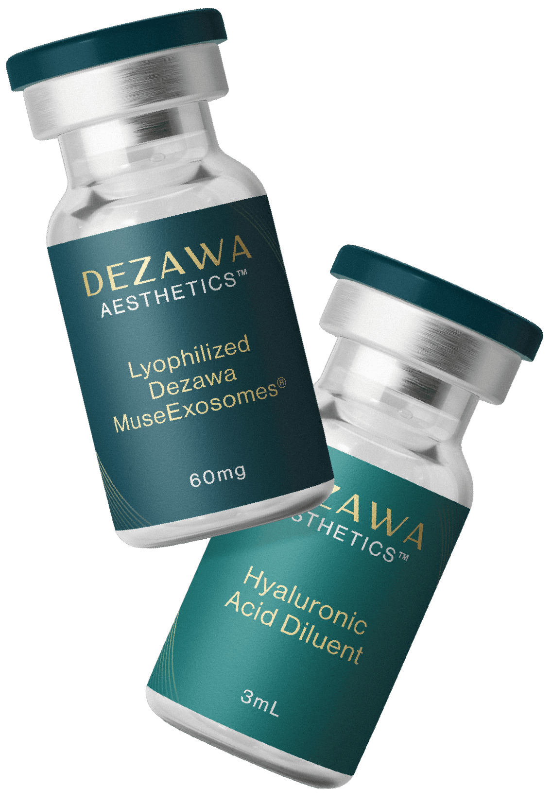 Dezawa Aesthetics treatment kit — Lyophilized MuseExosomes® 60mg and Hyaluronic Acid Diluent 3mL